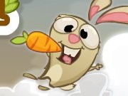 Game Rabbit and carrot