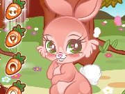 Cute Rabbit Dress Up game
