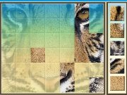 Animals from Africa game