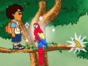 Play game Diego in the rain forest