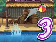 My dolphin show 3 game