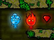 Fire and Water: The Forest Temple game