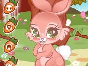 Game Cute Rabbit Dress Up